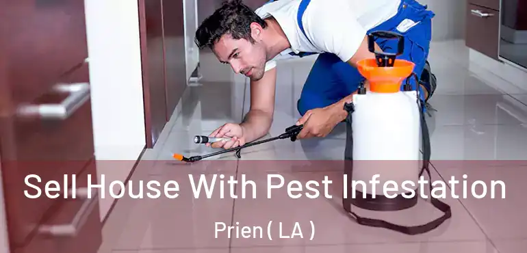  Sell House With Pest Infestation Prien ( LA )