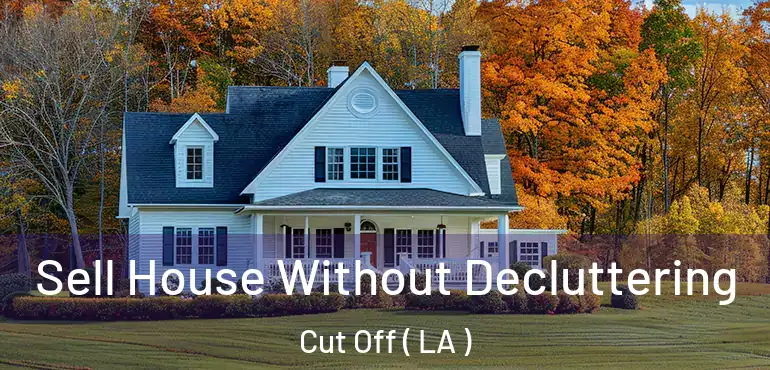  Sell House Without Decluttering Cut Off ( LA )