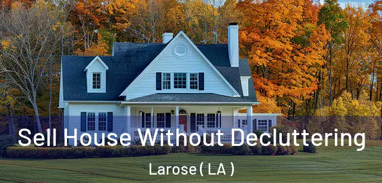  Sell House Without Decluttering Larose ( LA )