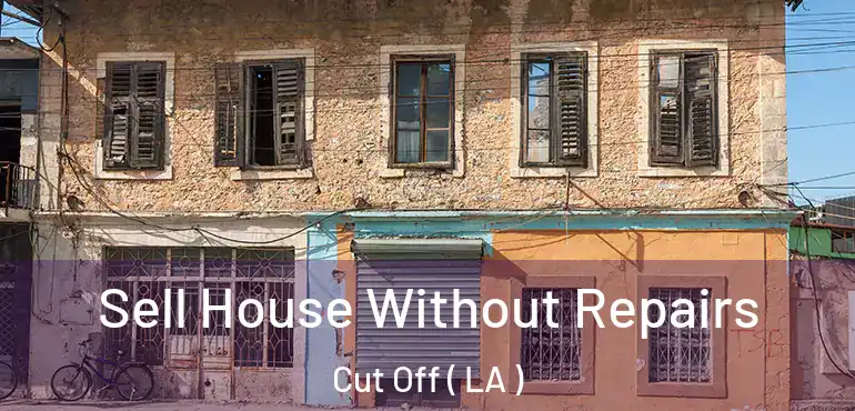  Sell House Without Repairs Cut Off ( LA )