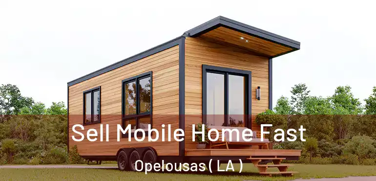  Sell Mobile Home Fast Opelousas ( LA )