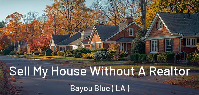 Sell My House Without A Realtor Bayou Blue ( LA )