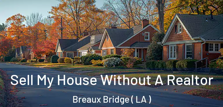  Sell My House Without A Realtor Breaux Bridge ( LA )