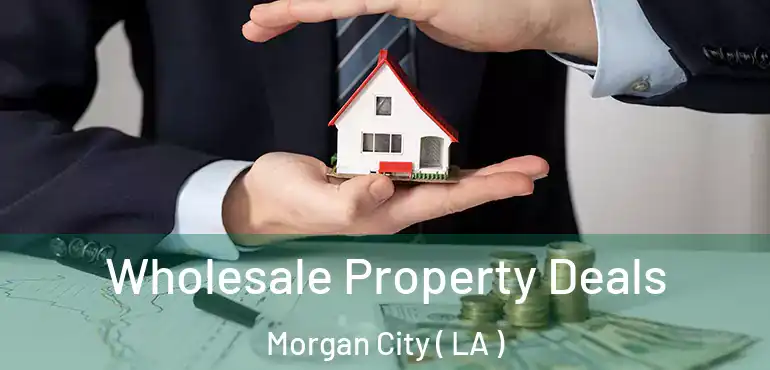  Wholesale Property Deals Morgan City ( LA )